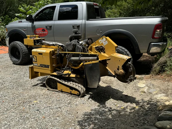 Dave's Tree Service Equipment - Stump Grinder