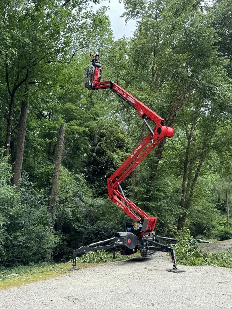 Cleaning Up Debris After Removal