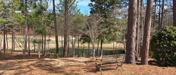 Tree care services by Dave's Tree Service in Moore County
