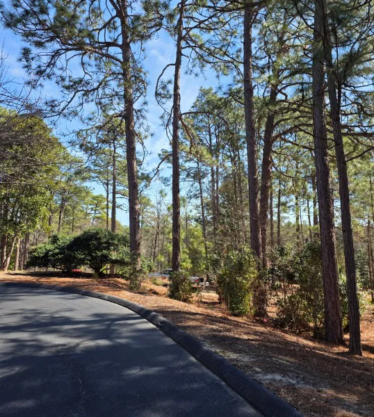 Professional tree removal and trimming in Vass NC