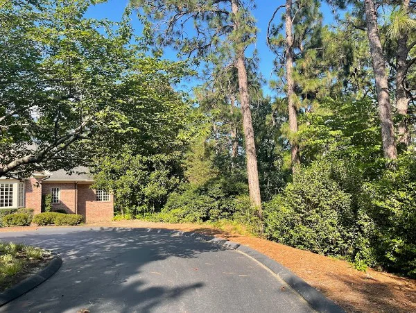 Expert tree service operations in the Sandhills region