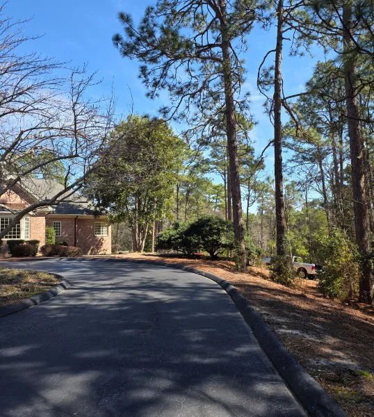 Tree pruning and maintenance by Dave's Tree Service